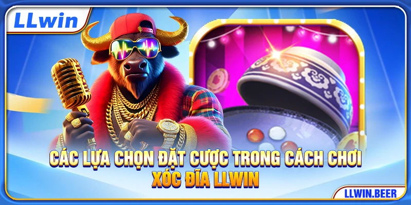 Các lựa chọn đặt cược trong cách chơi xóc đĩa LLWIN Các lựa chọn đặt cược trong cách chơi xóc đĩa LLWIN