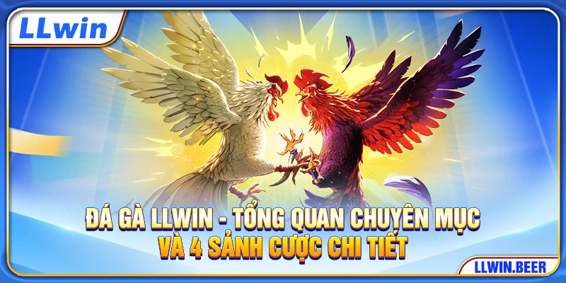Đá Gà LLWIN - Tổng Quan Chuyên Mục Và 4 Sảnh Cược Chi Tiết