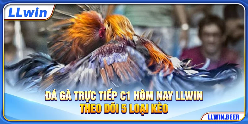 Đá Gà Trực Tiếp C1 Hôm Nay LLWIN - Theo Dõi 5 Loại Kèo