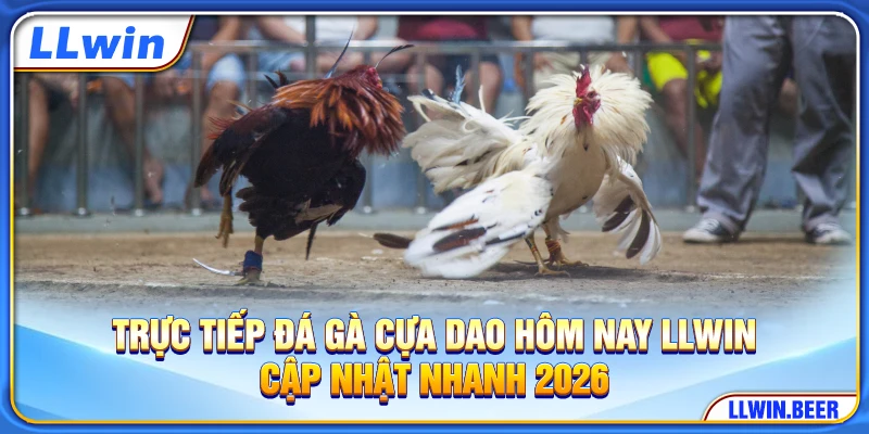 Trực Tiếp Đá Gà Cựa Dao Hôm Nay LLWIN - Cập Nhật Nhanh 2026